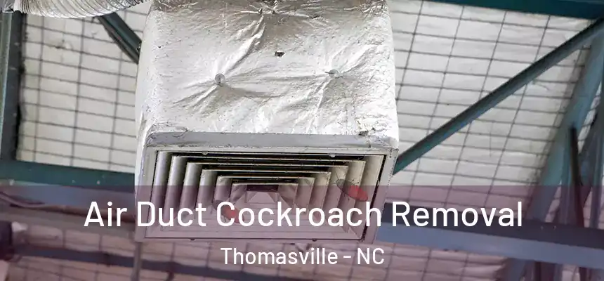  Air Duct Cockroach Removal Thomasville - NC