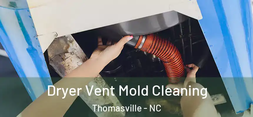 Dryer Vent Mold Cleaning Thomasville - NC