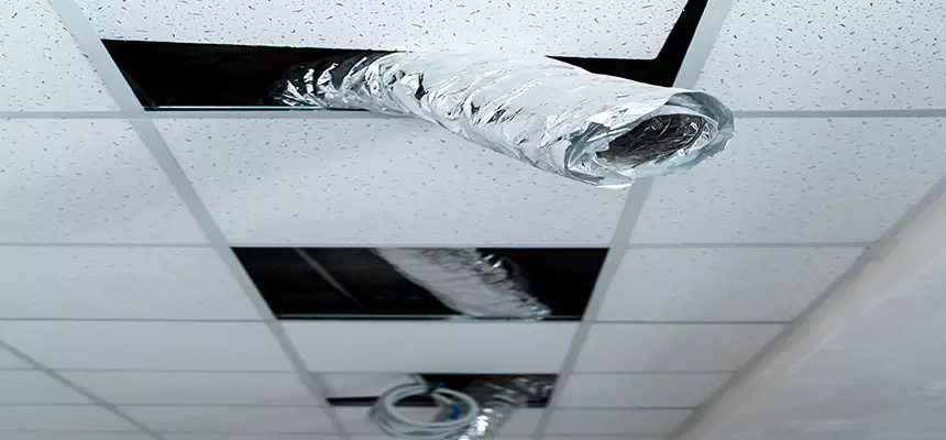 Our Air Duct Pet Hair Removal Services in Thomasville, NC