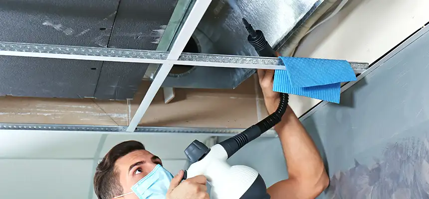Our Air Duct Rodent Removal Services in Thomasville, NC