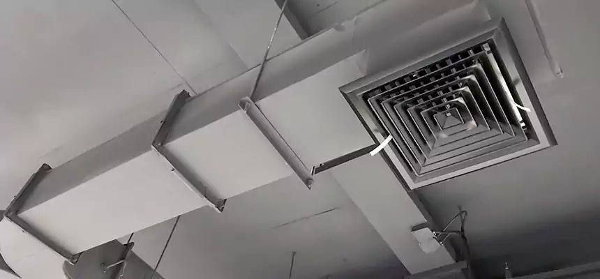 Restorative Allergy Relief Vent Cleaning – Coil, Blower & Housing Detail in Thomasville