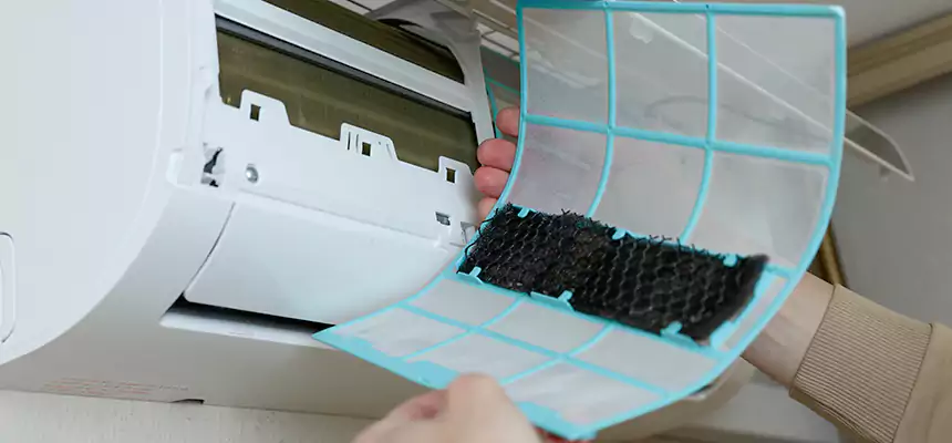 Gentle Ductwork Odor-Control Pet Dander Duct Cleaning in Thomasville, NC