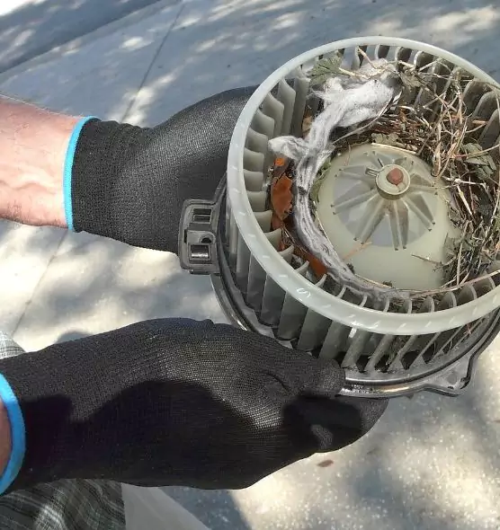 About Air Duct Mice Removal in Thomasville, NC