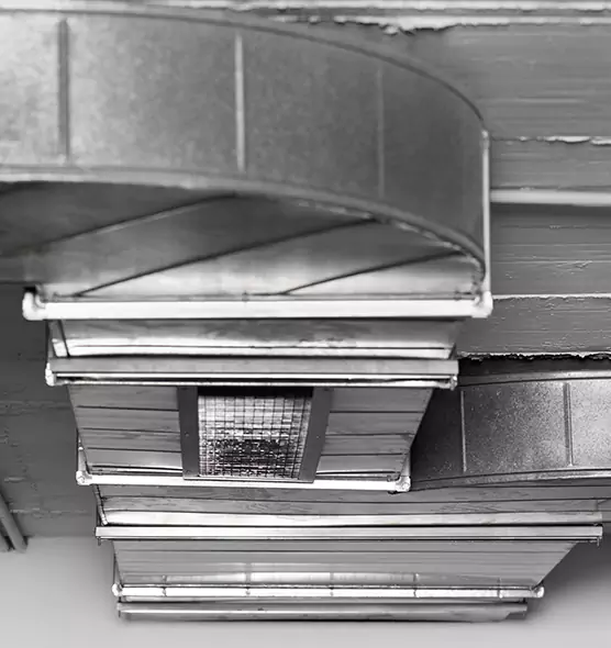 Professional Air Duct Pet Hair Removal in Thomasville, NC