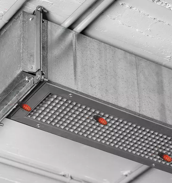 Affordable Insect Removal from Air Ducts in Thomasville, NC
