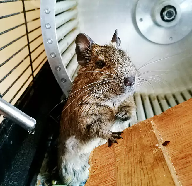 Why Homeowners & Businesses Trust Us Thomasville, NC