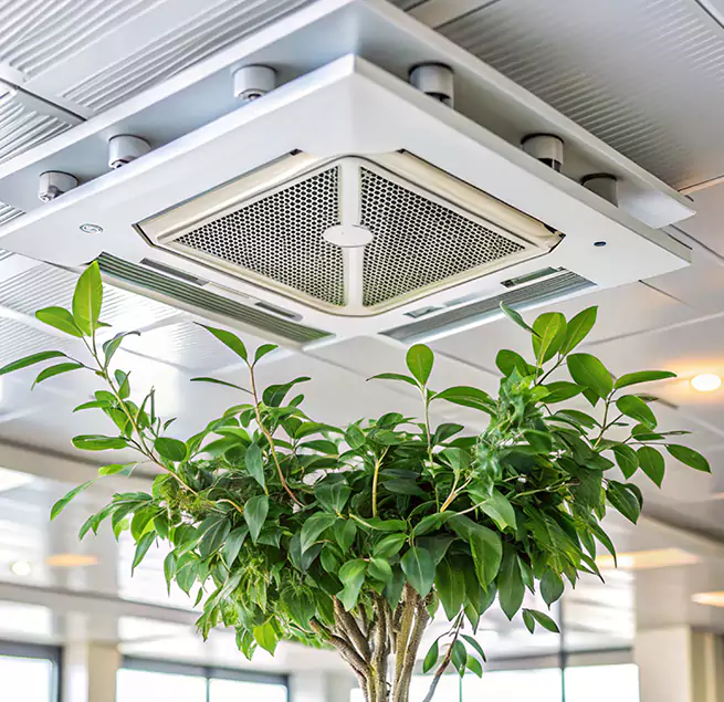 Why Homeowners & Businesses Trust Us in Thomasville, NC?